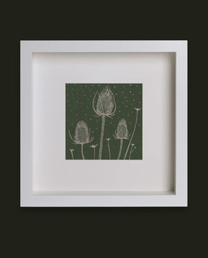 Teasels
